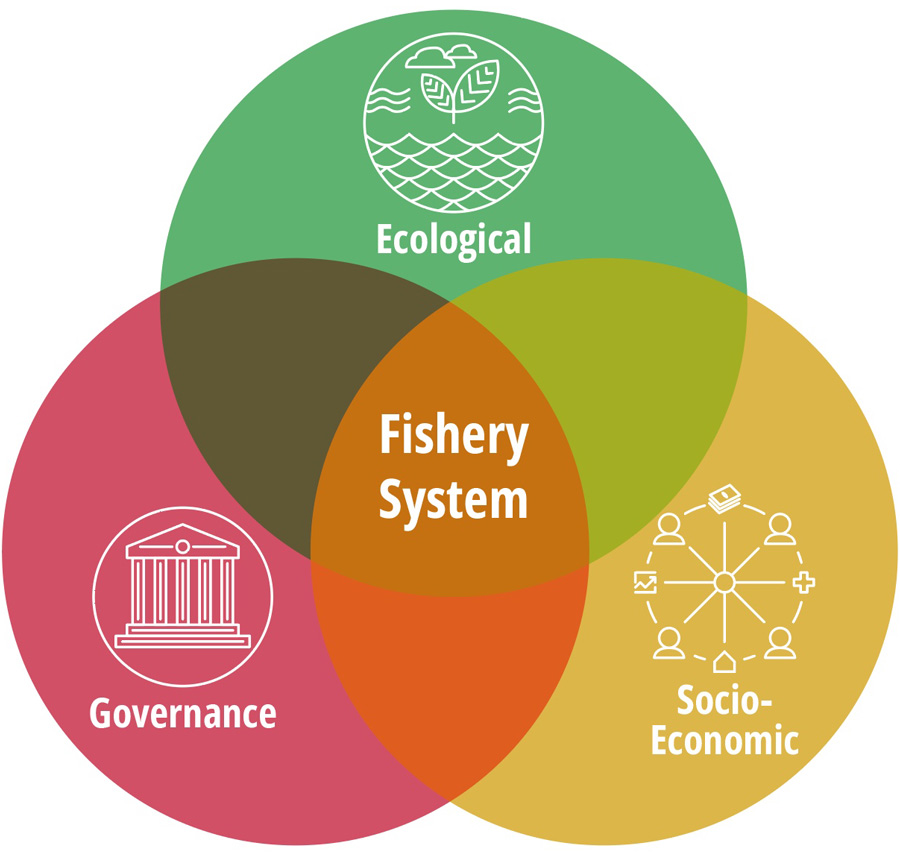 Venn diagram showing fishery system in the overlapping area of three circles that represent ecological, socio-economic, and governance dimensions.