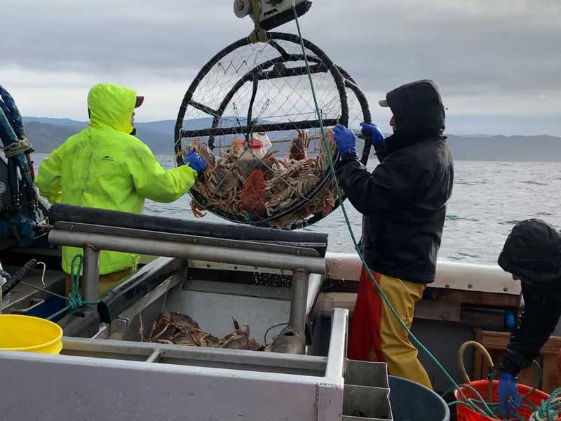 California Dungeness Crab Fishery (United States)