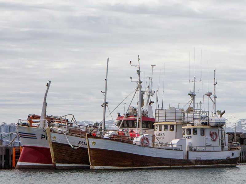 Iceland Groundfish Fisheries