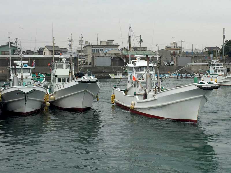 Mie Spiny Lobster Fishery (Japan)