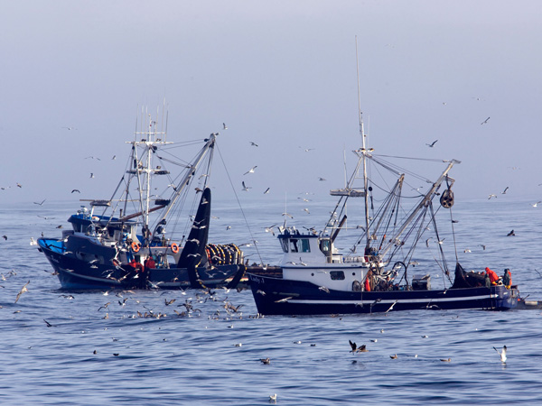 United States West Coast Pacific Sardine Fishery